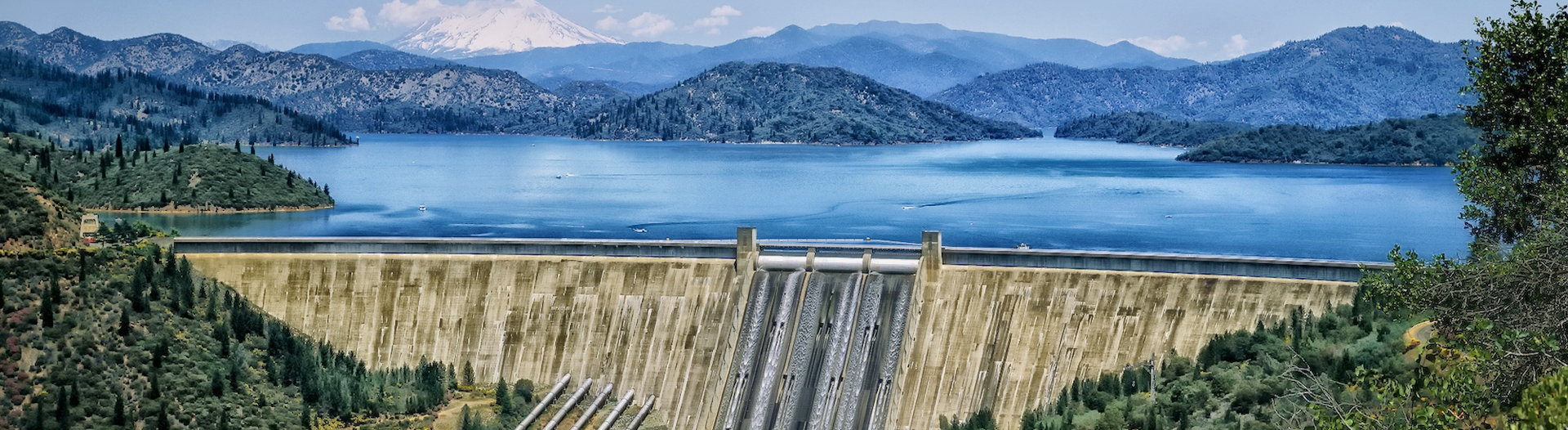 上海立新液壓有限公司